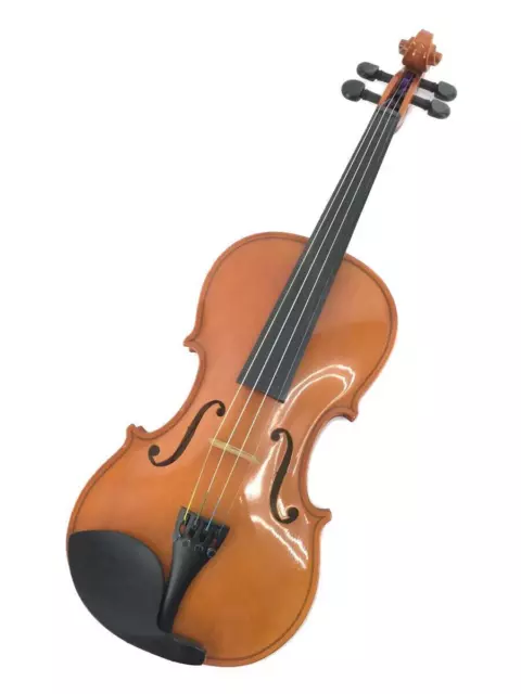 Violin/Violin/Brw/920 4/4/Josef Jan Dvorak/With Case