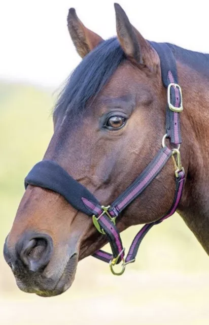 Shires Topaz Fleece Headcollar, Black/Raspberry, Pony Size, BNWT