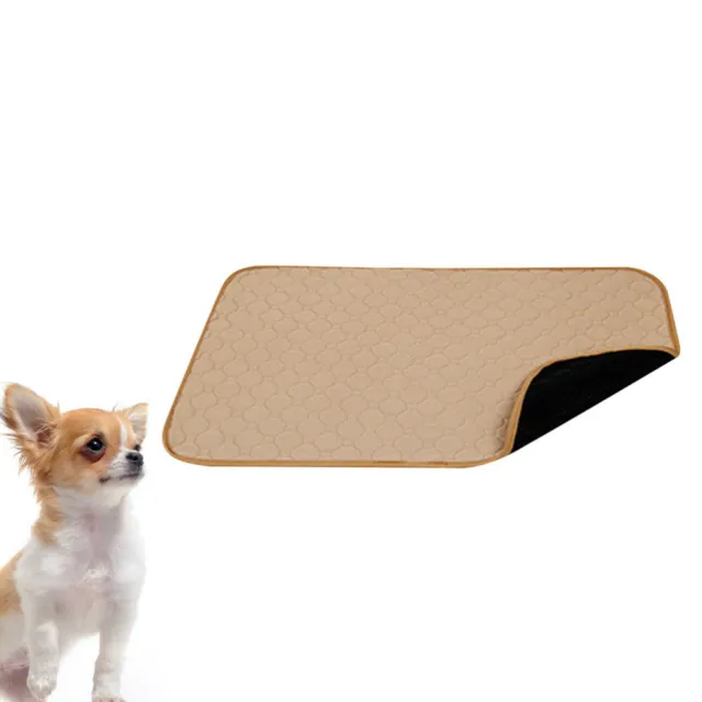 Almohadillas para orinar cachorros perros viaje Golden Retriever súper absorbente