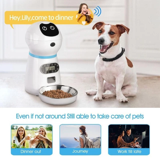 Cute Robot Shape Automatic Cat Feeder with 10s Voice Recorder Keeping Food Fresh 9