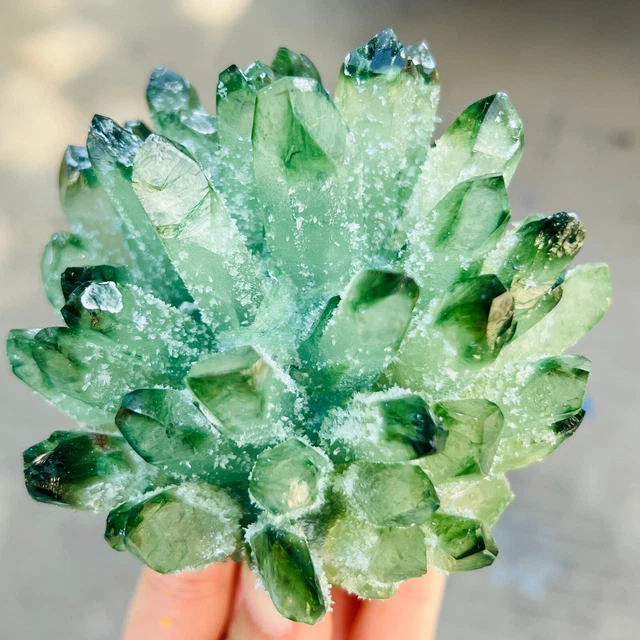 560G New find gree phantom quartz crystal cluster mineral specimen healing