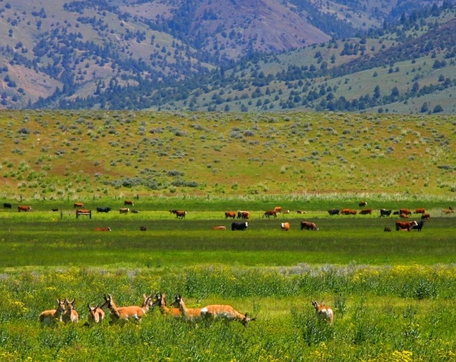 1.18 Acres Property MODOC COUNTY
