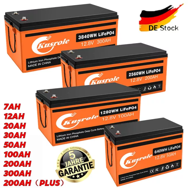 24V 200Ah 100Ah Lithium Batterie LiFePO4 Akku mit BMS für Solar Off-Grid System