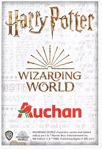 CHOICE Auchan Harry Potter Card COLLECTION Vignette Pouch WIZARDING WORLD