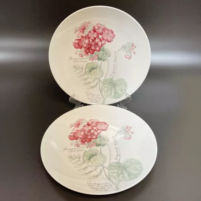 Lenox Geranium Artist Sketchbook by Louise Le Luyer Dinner Plates 11" Lot of 2