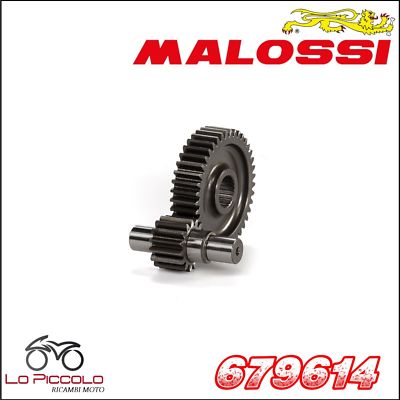 Jupiter Courroie MALOSSI Italjet Jupiter 150 4T LC 6116101 