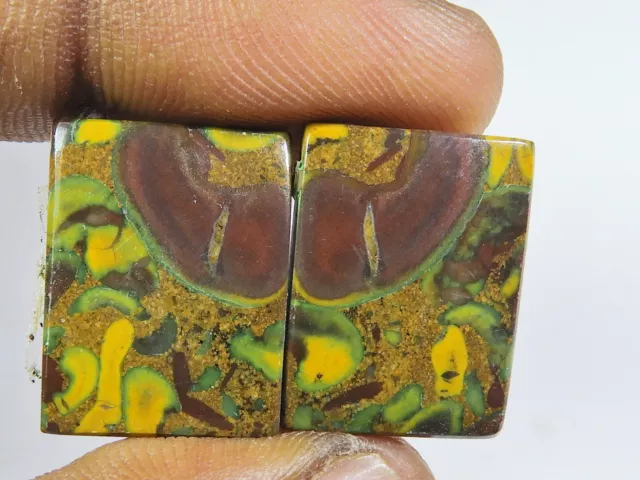 14X19X06 MM NATURAL FRUIT JASPER MATCHED PAIR OCTAGON CABOCHON GEMSTONE g818