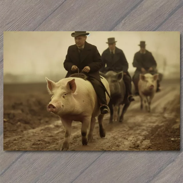 POSTCARD Pig Riding Men Top Hat Old School Vibe Weird Strange Funny Race Swine