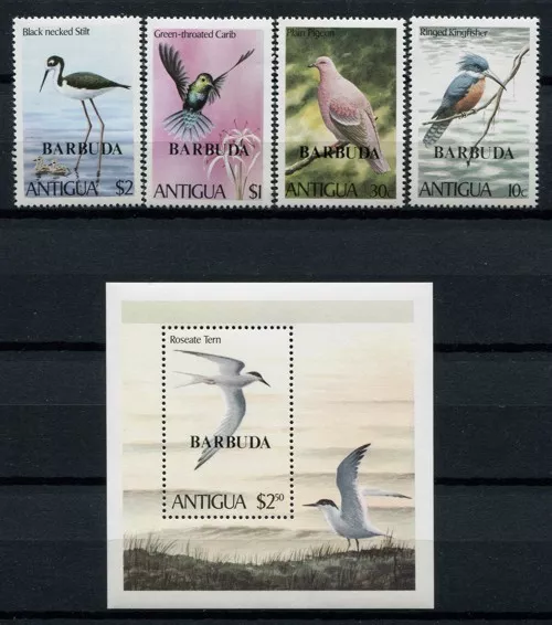 Barbuda 1980 Vögel Water Birds Uccelli Oiseaux  520-523 Block 54 MNH