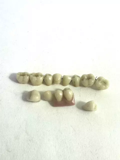 Vintage false teeth 1920s hard dental ceramic