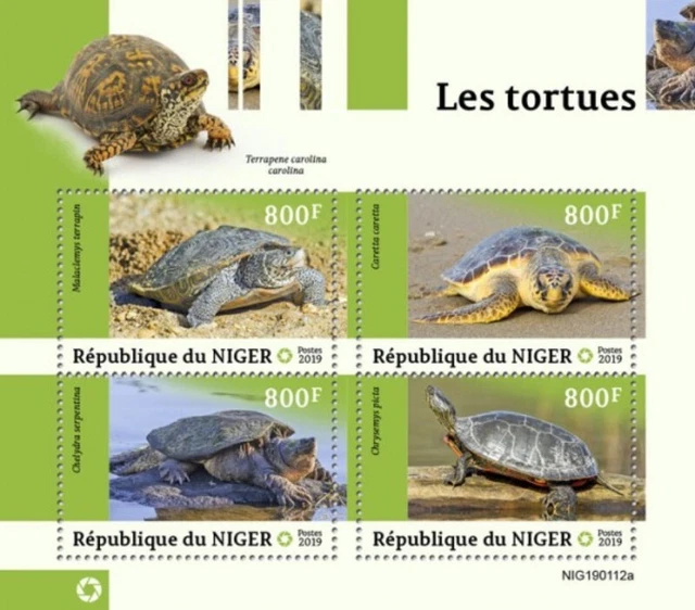 Niger - 2019 Turtles auf Briefmarken - 4 Briefmarke Blatt - NIG190112a