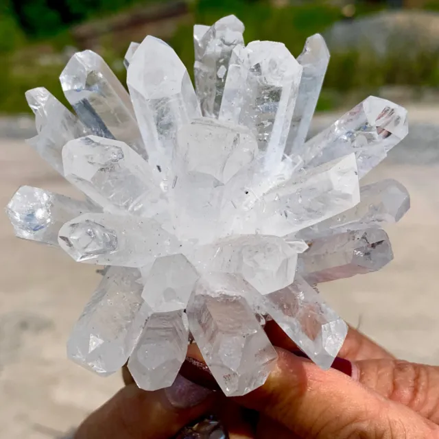 264G  New Find Green Phantom Quartz Crystal Cluster Mineral Specimen 2