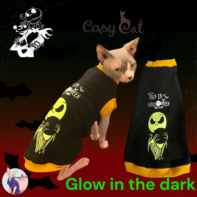 Maglietti per gatti Halloween, maglioni Sphynx, maglioni Sphynx, maglioni per gatti