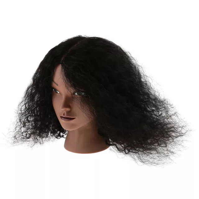 Cosmetology Hairdressing Practice Training Mannequin Manikin Head Human Hair