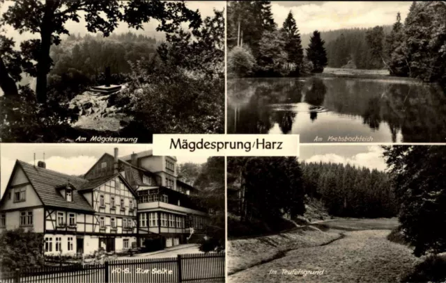 Mägdesprung Harz DDR s/w Mehrbild AK 1966 Teufelsgrund Krebsbachteich HO Gasthof