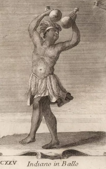 INDISCHE RASSEL - Bonanni - Westerhout - Kupferstich 1716