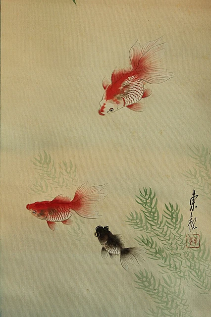 Japanese hanging scroll " Gold fish" / silk, bone / with box late 20th century