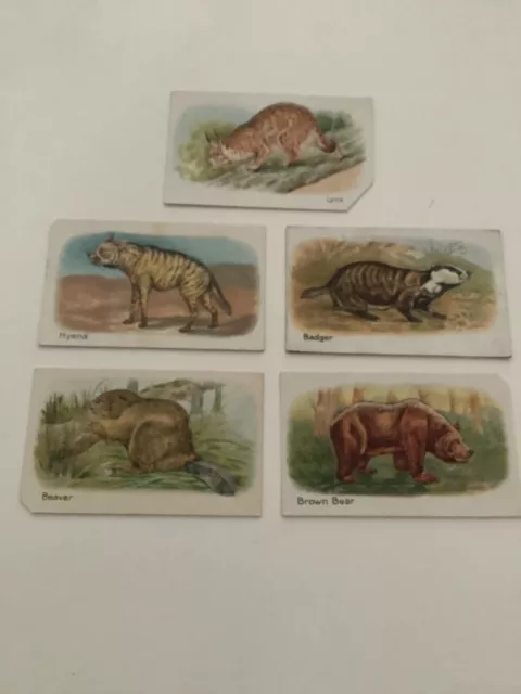 J Knight Hustler Soap Cut Out Animals Cards - Five Second Series Z1