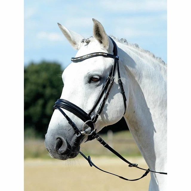 Busse Comfort Non-Crank Flash Snaffle Bridle Clearance Sale!