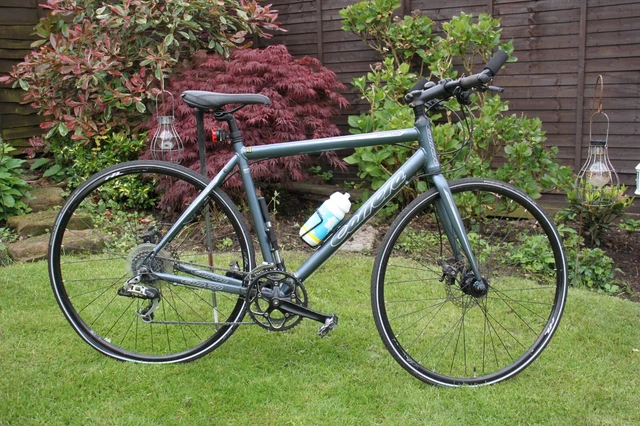 Carrera gryphon 2018 2025