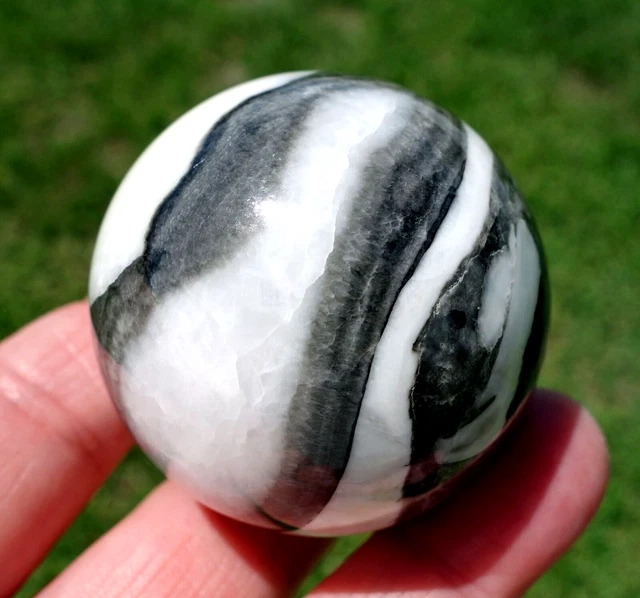 Black and White SHELL FOSSIL JASPER in Clear Quartz Crystal Sphere Ball For Sale