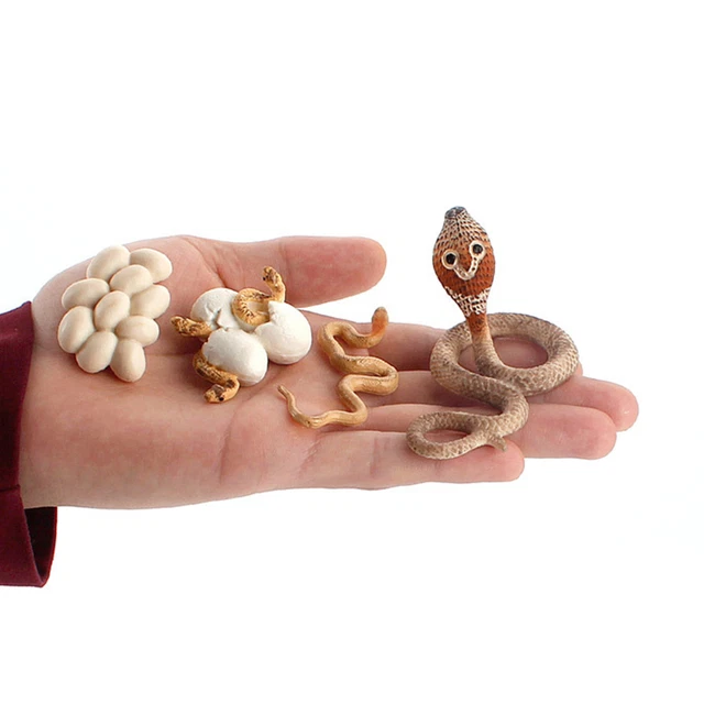 Animal Model Lovely Novelty Boa Constrictor Snake Model Wide Application