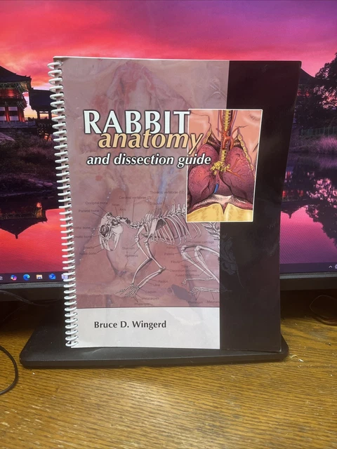 RABBIT ANATOMY+DISSECTION GUIDE Homeschool £82.77 - PicClick UK