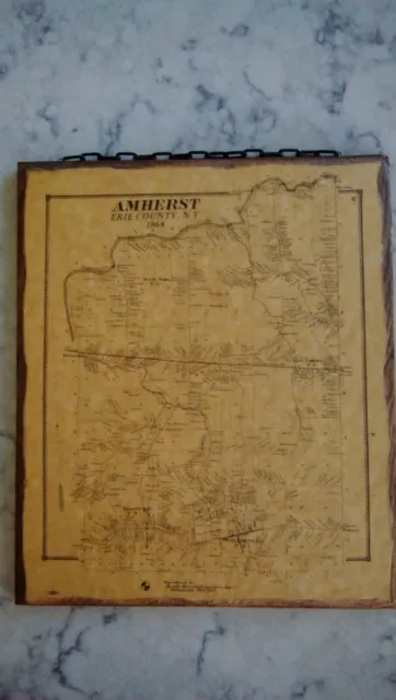 Vintage Amherst Erie County New York 1868 Land Owner Map