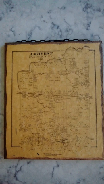 Vintage Amherst Erie County New York 1868 Land Owner Map