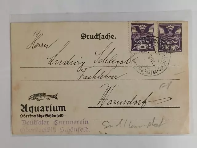 AK Oberkreibitz Schönfeld Sudeten Aquarium Fische Vintage Reklame Werbung