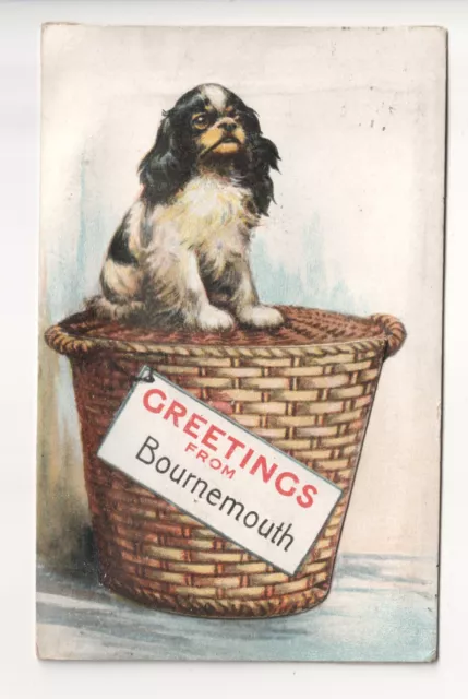 Bournemouth - Spanielhund - 1920er Neuheit ausziehbare Postkarte