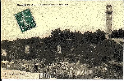 (S-42971) FRANCE - 49 - CORNILLE LES CAVES CPA      GEORGES E. ed.