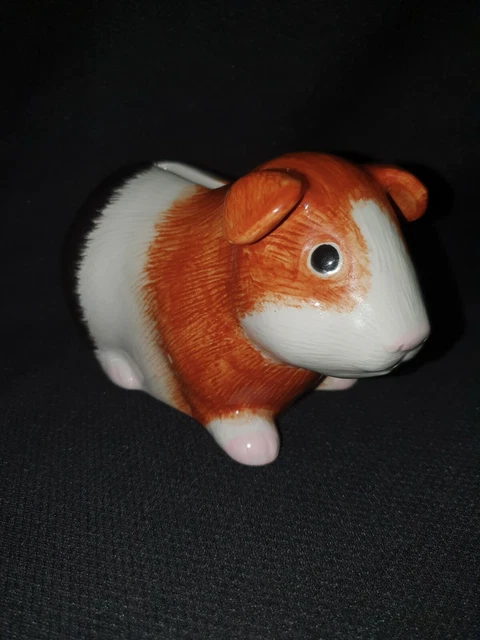 Guinea pig deals money box