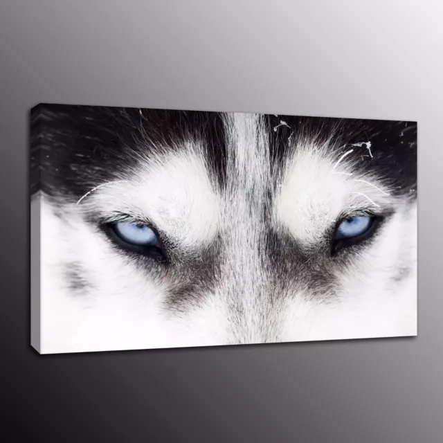 Animals Canvas Print Painting Wall Art Wolf Wolves Eyes Poster Home Decor