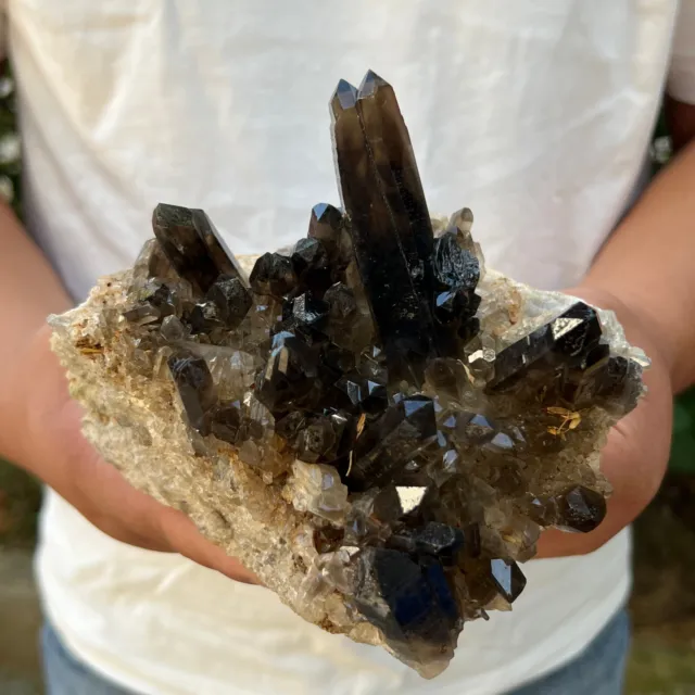 3.39LB Natural Beautiful Black Quartz Crystal Cluster Mineral Specimen Rar WF552