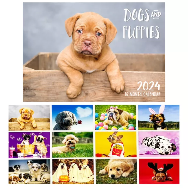 Dogs & Puppies - 2024 Rectangle Wall Calendar 16 Months Hanging Planner New Gift