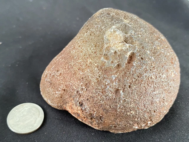 Rare Rough Botswana Agate whole nodule “THE CRUSTY EAR” 8.7 Ounces B12