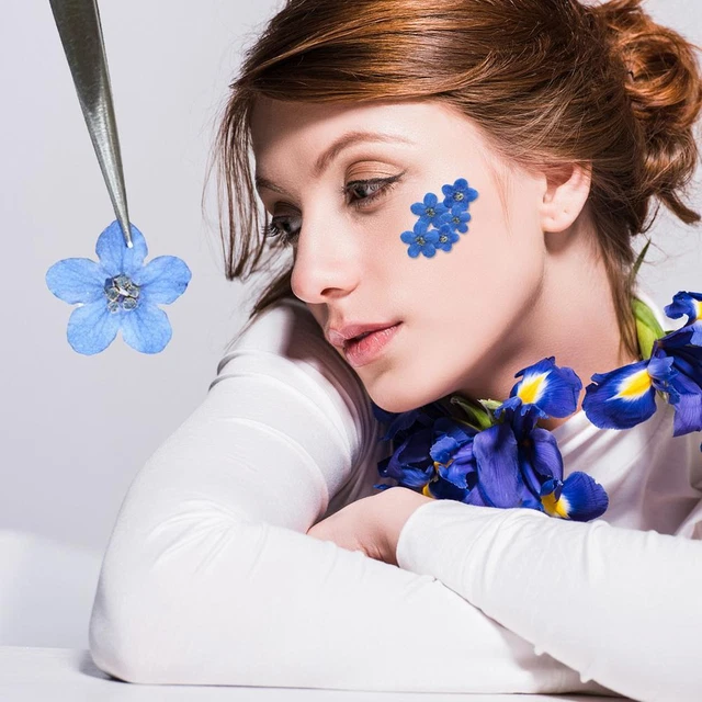 20 PIEZAS Azul Olvídame Not Flores Secas Prensadas Naturaleza Hágalo usted mismo Arte Artesanía ^