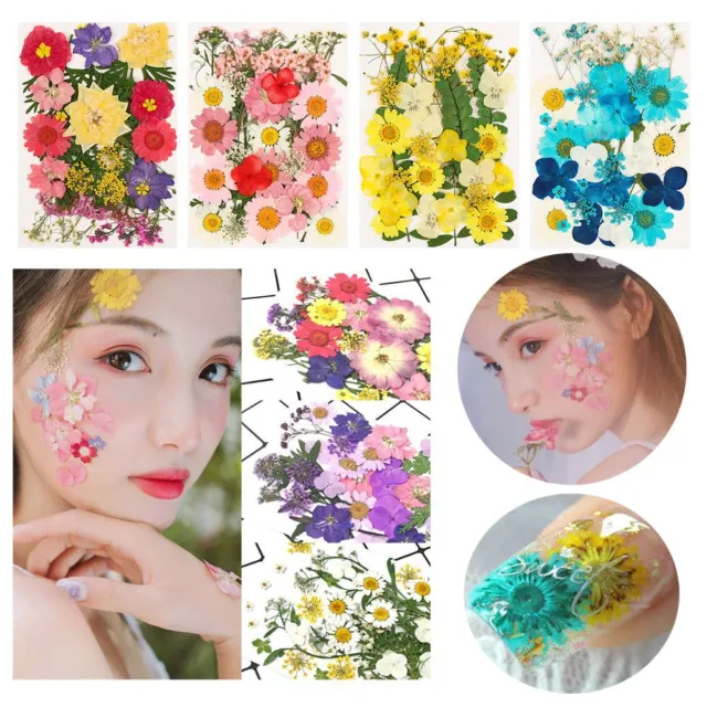 Making Real Dried Flower Manicure Tips Face Sticker Decor Nail Art Decorations