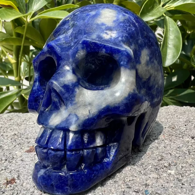 534G  Natural sodalite quartz hand carved crystal skull gem reiki healing BB742