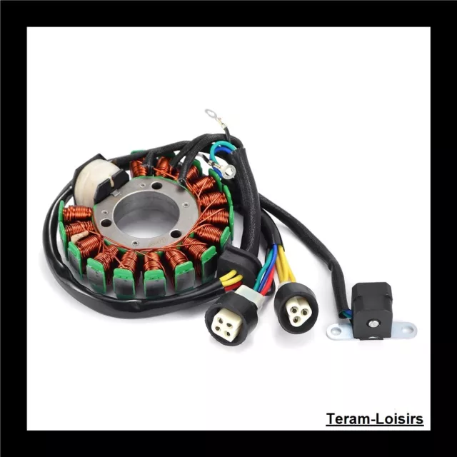 Stator Allumage pour Yamaha YFM 250 Moto-4 de 1989 1990 et 1991 NEUF