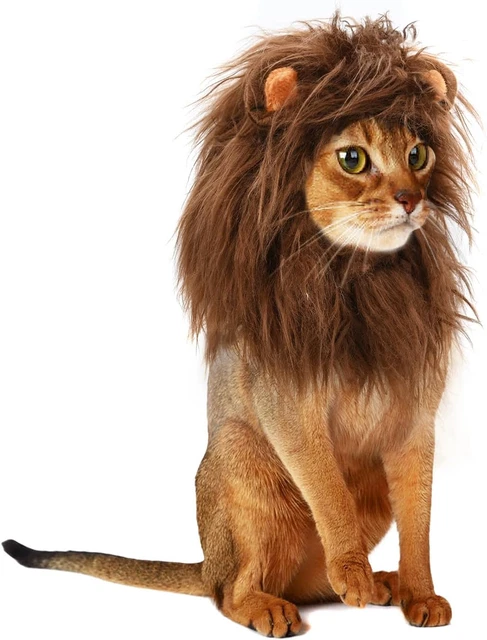Parrucca Criniera Di Leone per Gatti E Cani, Divertenti Costumi per Animali Dome