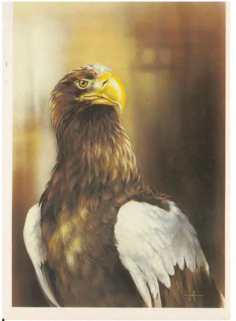 USSR postcard 1990 Eagle charity issue "Moscow Zoo" artist ISAKOV