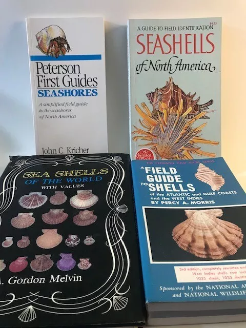 Lot of 4 Field Guides - Seashells / Seashores - Peterson Guides, Golden Guides