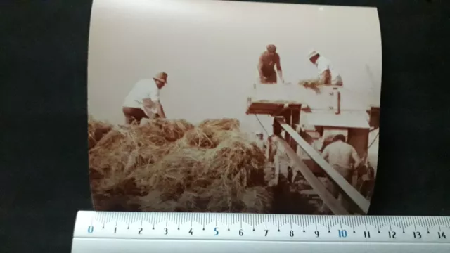 Malta Gozo - Vintage- Photograph- Scene Of Farmers At St Lawrence