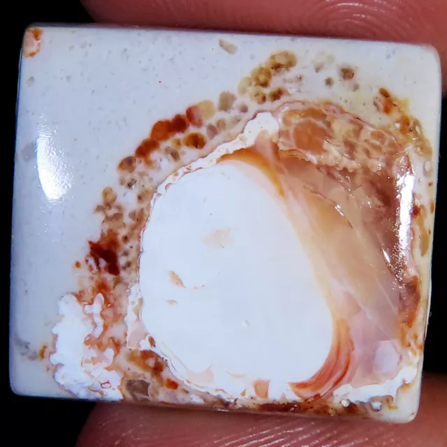 24.80 CT Non Traitée Naturel Mexicain Feu Opale Cabochon 20x23x5 MM Gemmes PC30