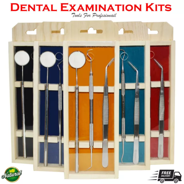 Dental Hygienist Examination Kit Explorer Probes College Tweezers Mixing Tools