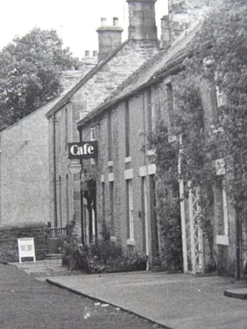 Northumberland ALLENDALE Arnison Terrace GIFT SHOP & OLD OAK CAFE - Old RP PC 3