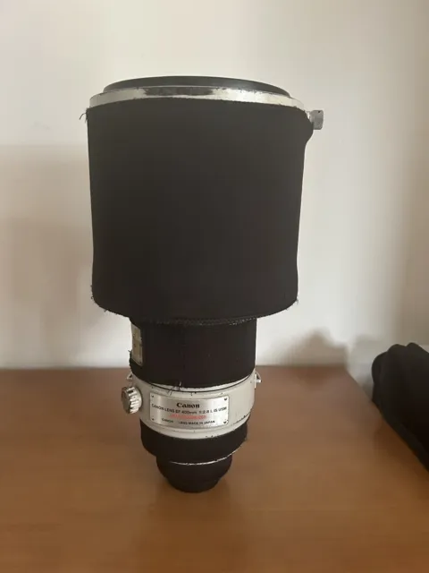 Canon EF 400 mm F2.8 L IS USM Lens - With Case, Lens Hood and Both Lens Caps