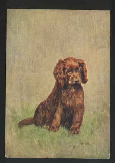 Sussex Spaniel Tobacco card postcard dogs 1930's #067